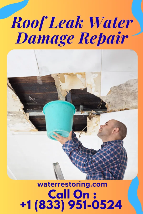 Roof Leak Water Damage Repair in Lake Wilson, MN